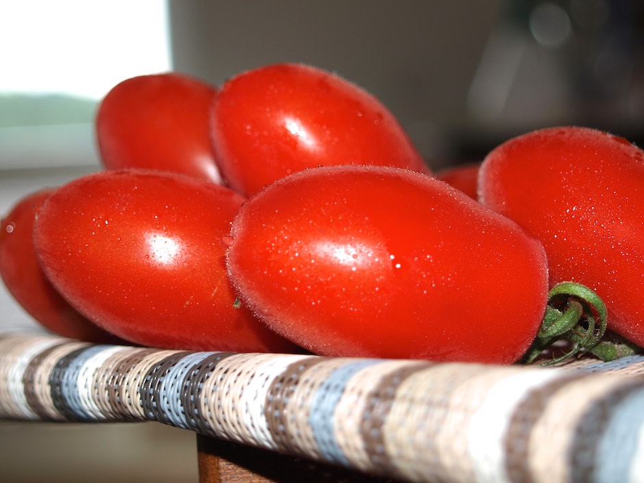 Guten Tomaten sind die Grundlage für leckere Gerichte
