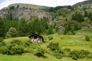 Birkenlehrpfad Bürchen - Schweiz und Wandern passt prima