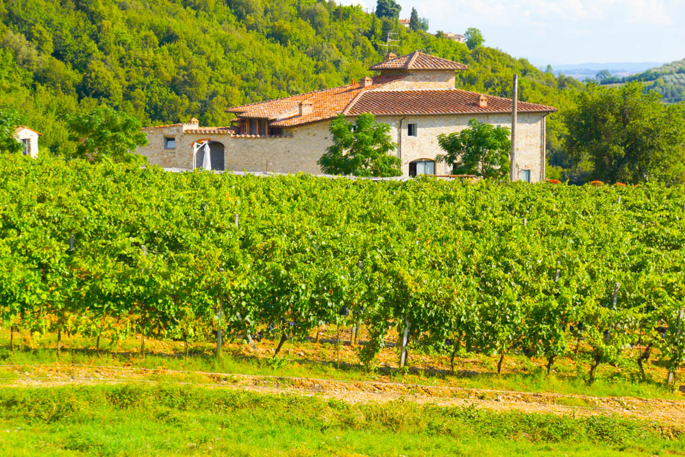 Ferienvilla in der Toskana - Mit Weinbergen und Olivenhainen ein Erlebnis