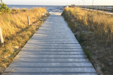 Wandern auf der Insel Usedom - Strandwandern von Trassenheide nach Ückeritz