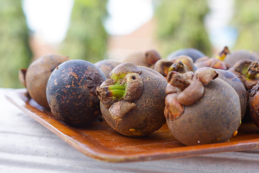 Mangosteen - Königin der Früchte