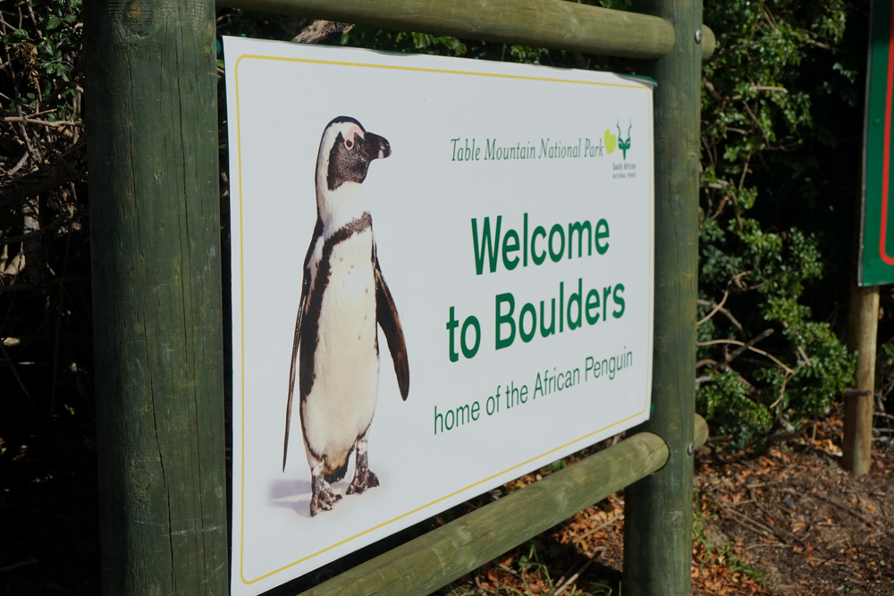 Boulders Beach Pinguine - Eingang