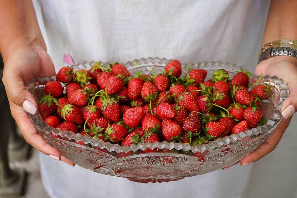 Supra Zeremonie, Georgien - frische Erdbeeren