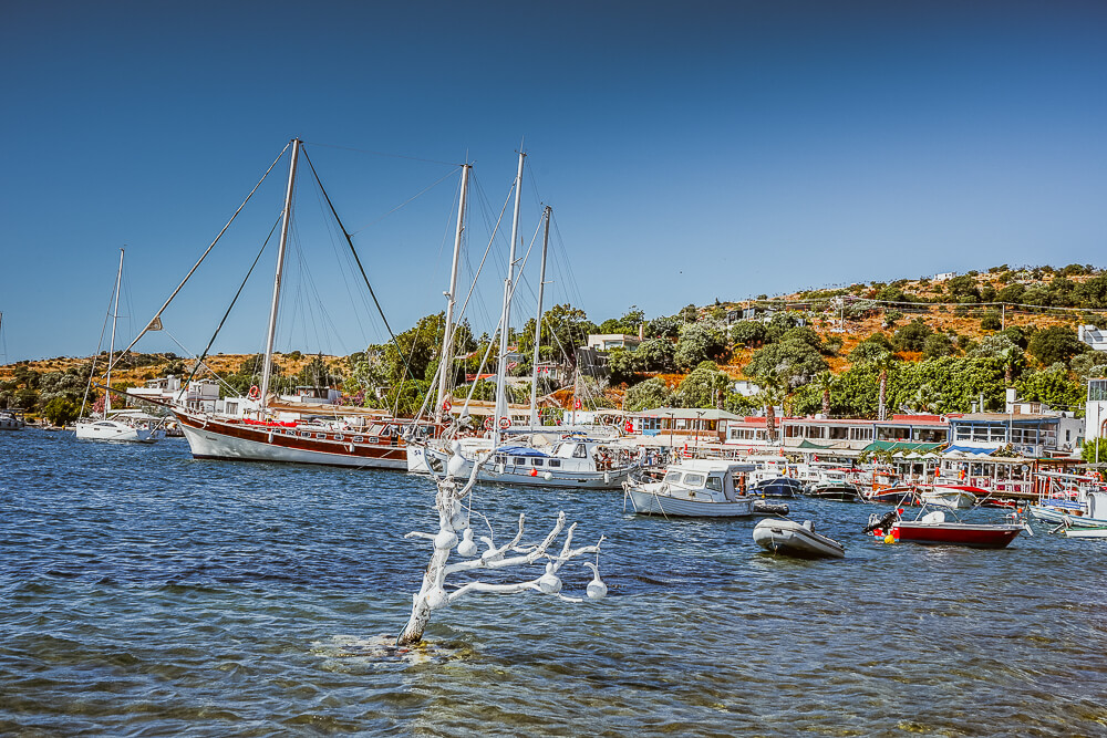 SCIC Sailing - Manchmal im Hafen, oft auf See