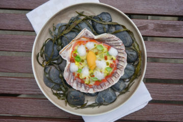 Restaurant Florhof, Zürich - Ceviche von der Jakobsmuscheln, Artischoke, Tomaten