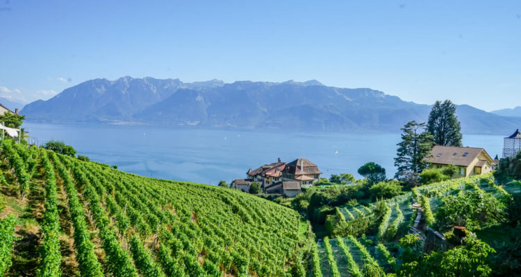 Das Lavaux im Kanton Waadt