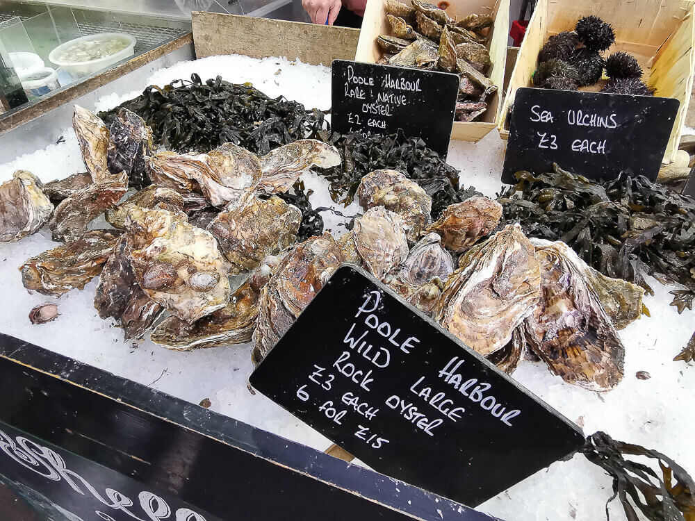 Borough Market, London - Top Notch Oysters